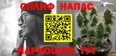 сатива Изобильный