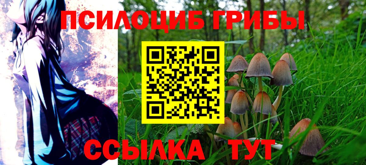 Галлюциногенные грибы Psilocybine cubensis Кыштым