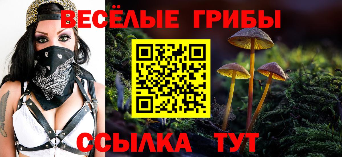 Псилоцибиновые грибы мухоморы  Вход с VPN  Кыштым 