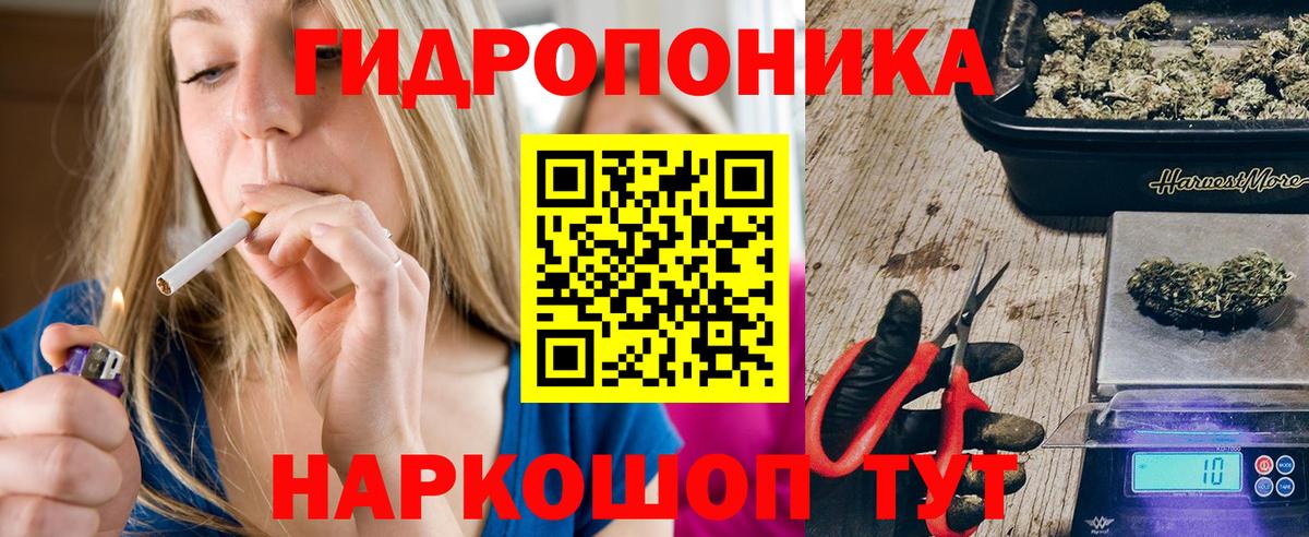 Марихуана сатива Кыштым